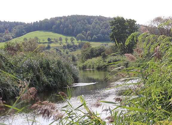 In den Werraschleifen bei Lauchröden kann man hautnah die Natur erleben.