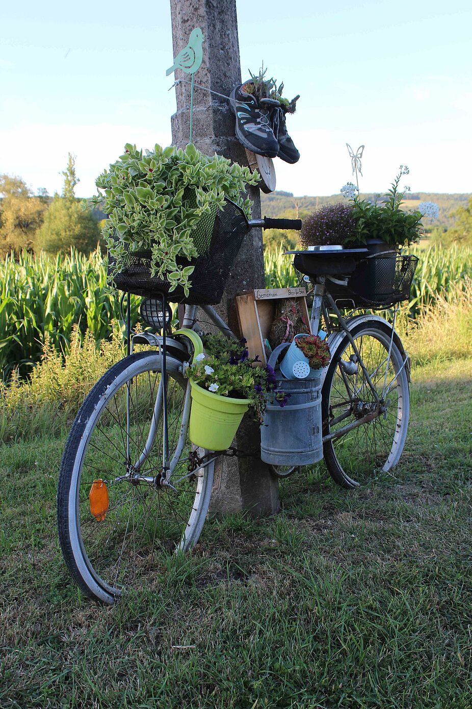 Zwischen Mihla und Buchenau Zwischen Mihla und Buchenau