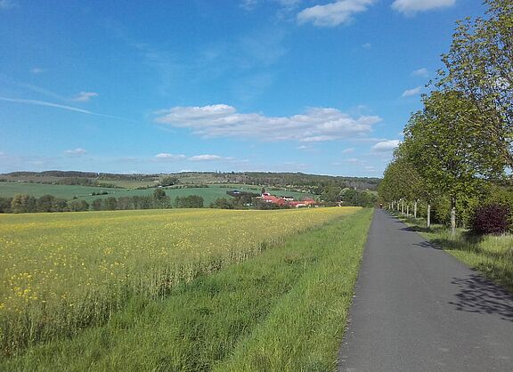 Der Weg führt nach Bolleroda, das idyllisch vor dem Hainich liegt
