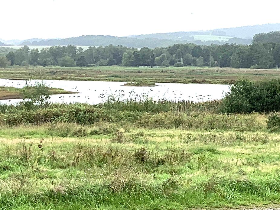 Blick auf den Rhäden Blick auf den Rhäden
