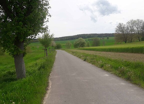 Auf dem Berka-Werra-Radweg