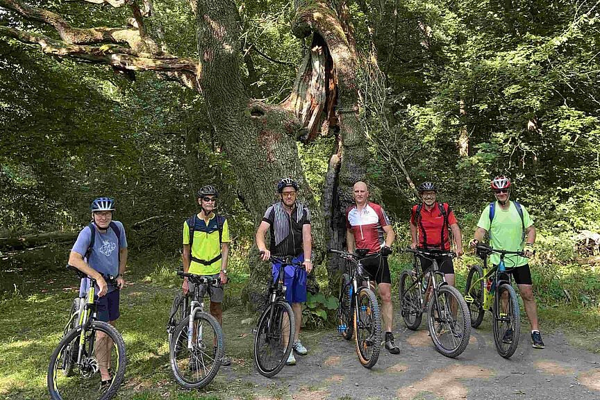 Betteleiche Die Mitglieder der BI Triftchausse kämpfen für einen direkten Zugang in den Hainich Richtung Betteleiche