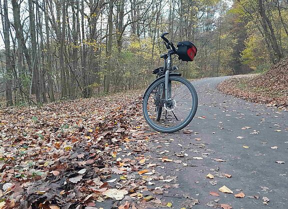 Am Siebenborn wird gekehrt. Keine Blätter mehr, und auch keine Sturzgefahr per Rad im Herbst.